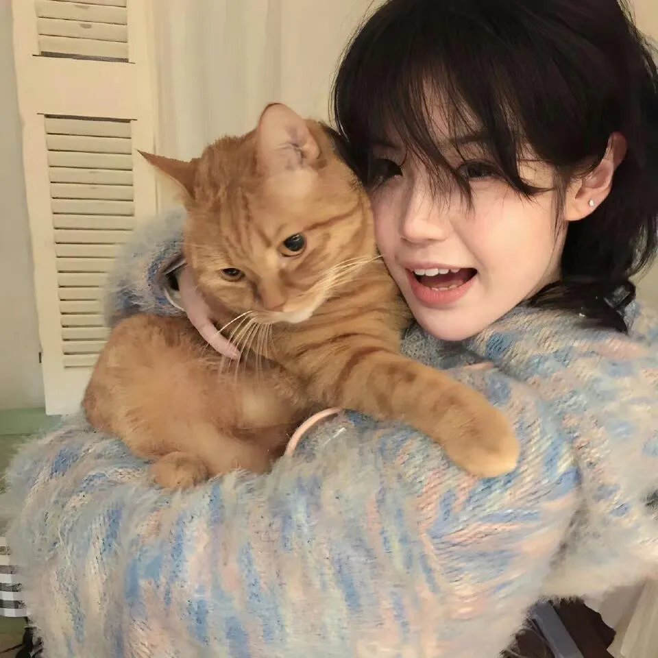 老爸的团宠时代